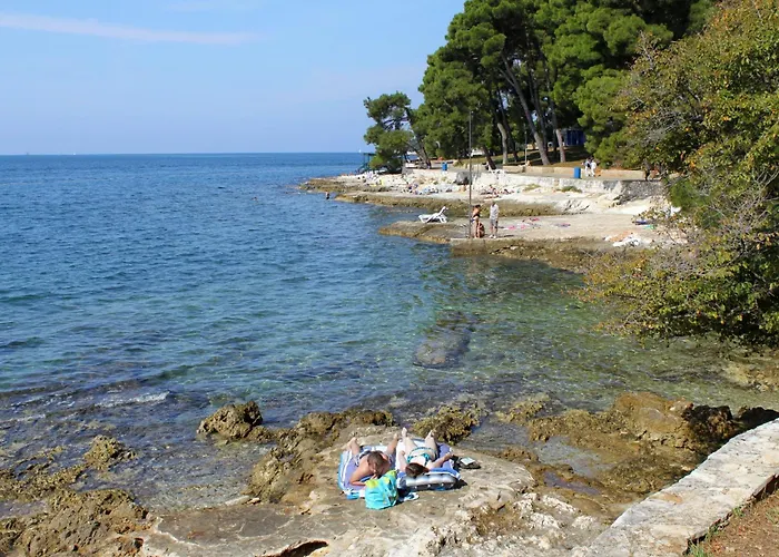 Apartman With Parking Space - 7137