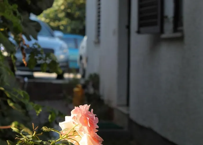 With Parking Space - 7137 * Poreč